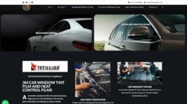 automotive website providers